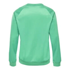 Hummel Hmlpromo Poly Sweatshirt Sweatshirt Polyester Homme -Sports - Équipement de football hmlpromo poly sweatshirt sweatshirt polyester homme 1