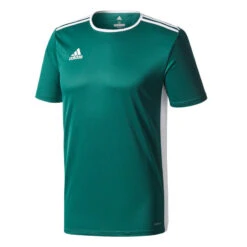 Maillot Adidas Entrada 18