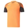 Maillot De Football IndividualCUP PUMA -Sports - Équipement de football maillot de football individualcup puma