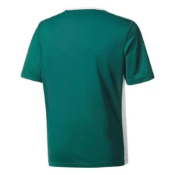 Maillot Enfant Adidas Entrada 9 Maillot Enfant Adidas Entrada -Sports - Équipement de football maillot enfant adidas entrada 2