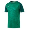 Maillot Training Puma CUP -Sports - Équipement de football maillot training puma cup