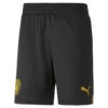 Short Manchester City F.C. 22/23 Replica Homme PUMA